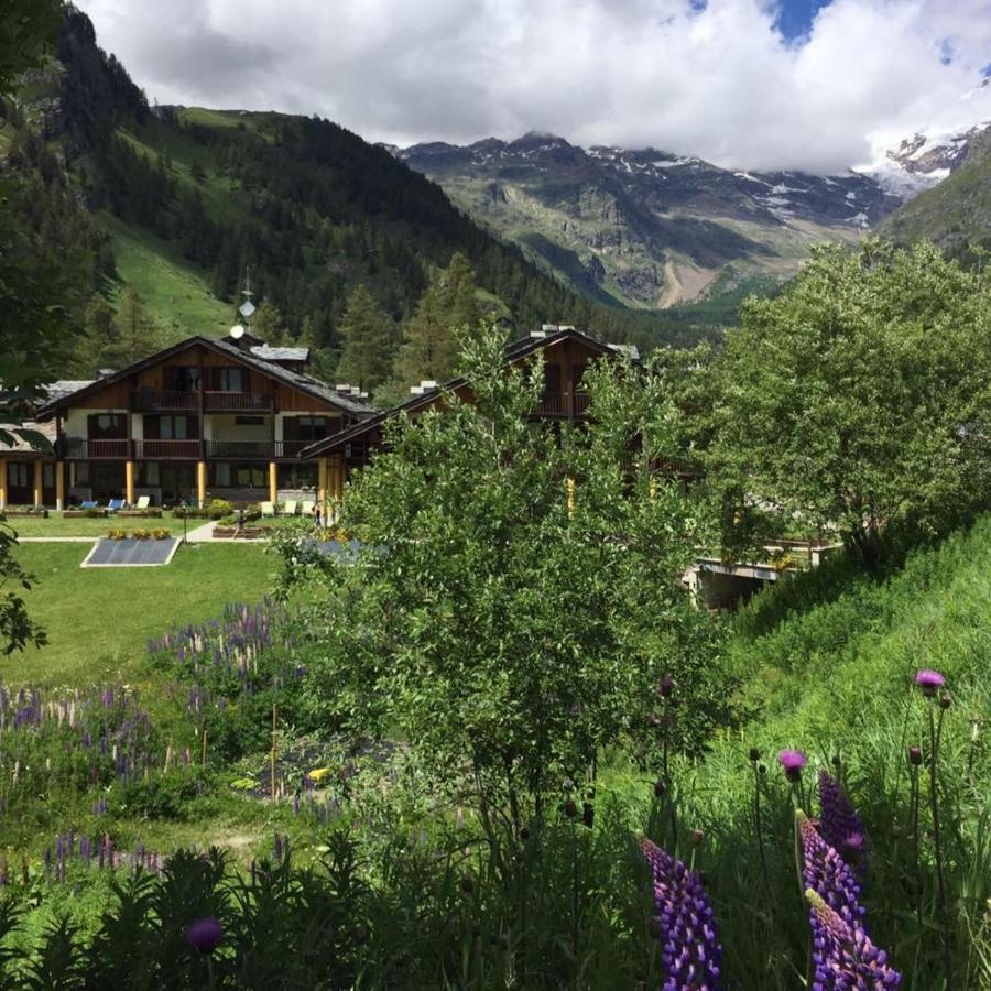 Residence Dei Walser Gressoney-La-Trinite Exterior photo